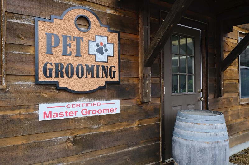 Dog & Cat Grooming in Blairsville, GA